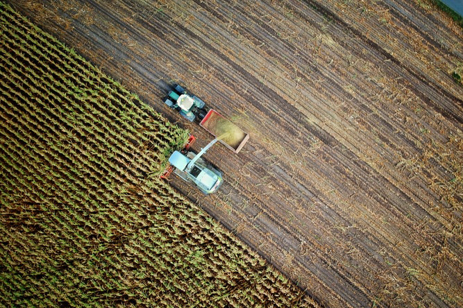 Produttori agricoli in regime di esonero